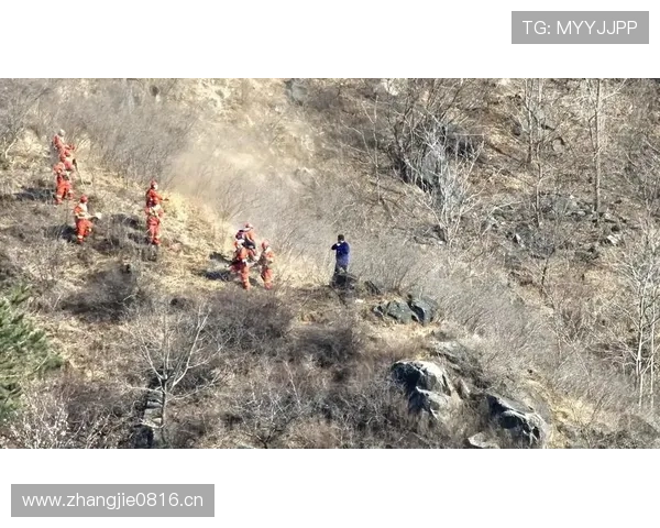 帕利尼亚：防线前屏障的战术价值解析