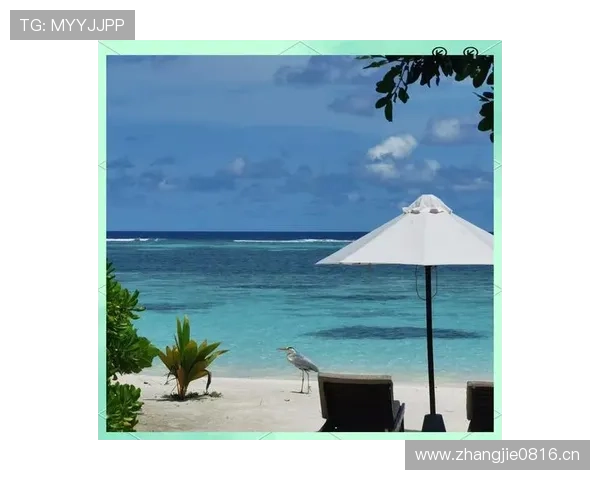 大阪刚在马尔代夫买岛，训练计划是每天醒来看海发呆？